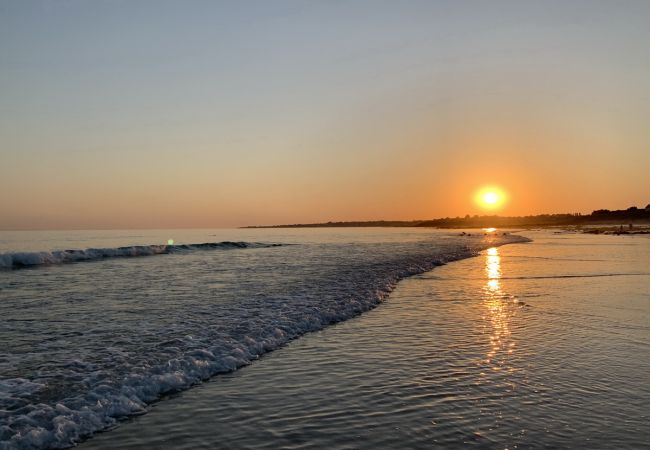 Ferienhaus in Plouhinec -  717-Fischerhaus-Blick auf den Hafen von Audierne-400m von den Stränden entfernt Ferienhaus in Plouhinec -  717-Fischerhaus-Blick auf den Hafen von Audierne-400m von den Stränden entfernt