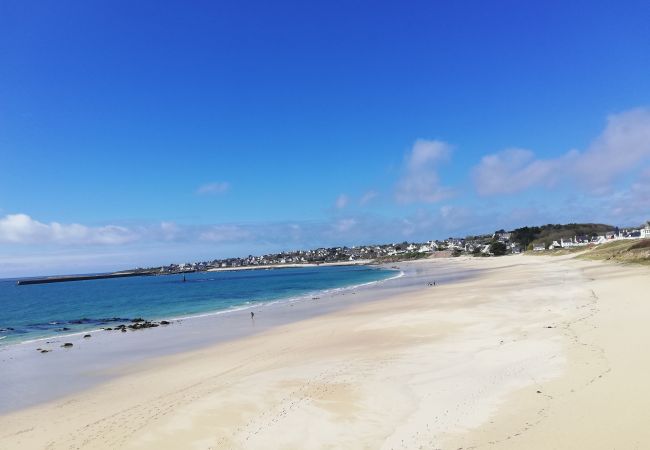 Ferienhaus in Audierne - 534-Villa am Strand-Strand in 100m Ferienhaus in Audierne - 534-Villa am Strand-Strand in 100m