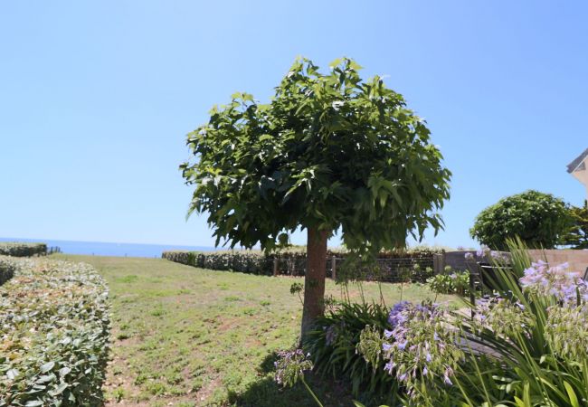 Ferienhaus in Audierne - 605-VIlla ocean. Der Atlantik am Ende des Gartens