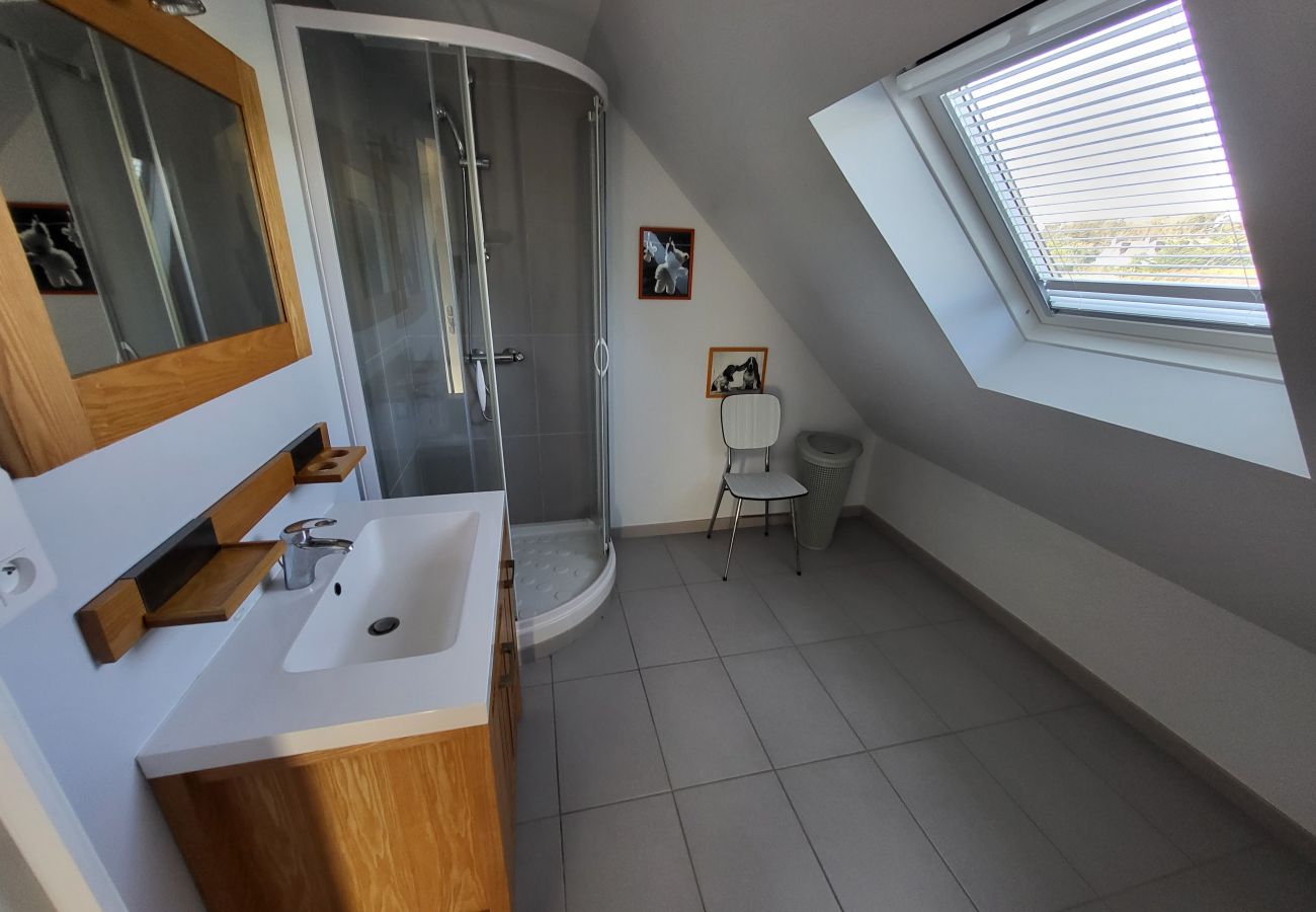 Ferienhaus in Primelin - 625-VIlla Penzer zum Surfen in St Tugen