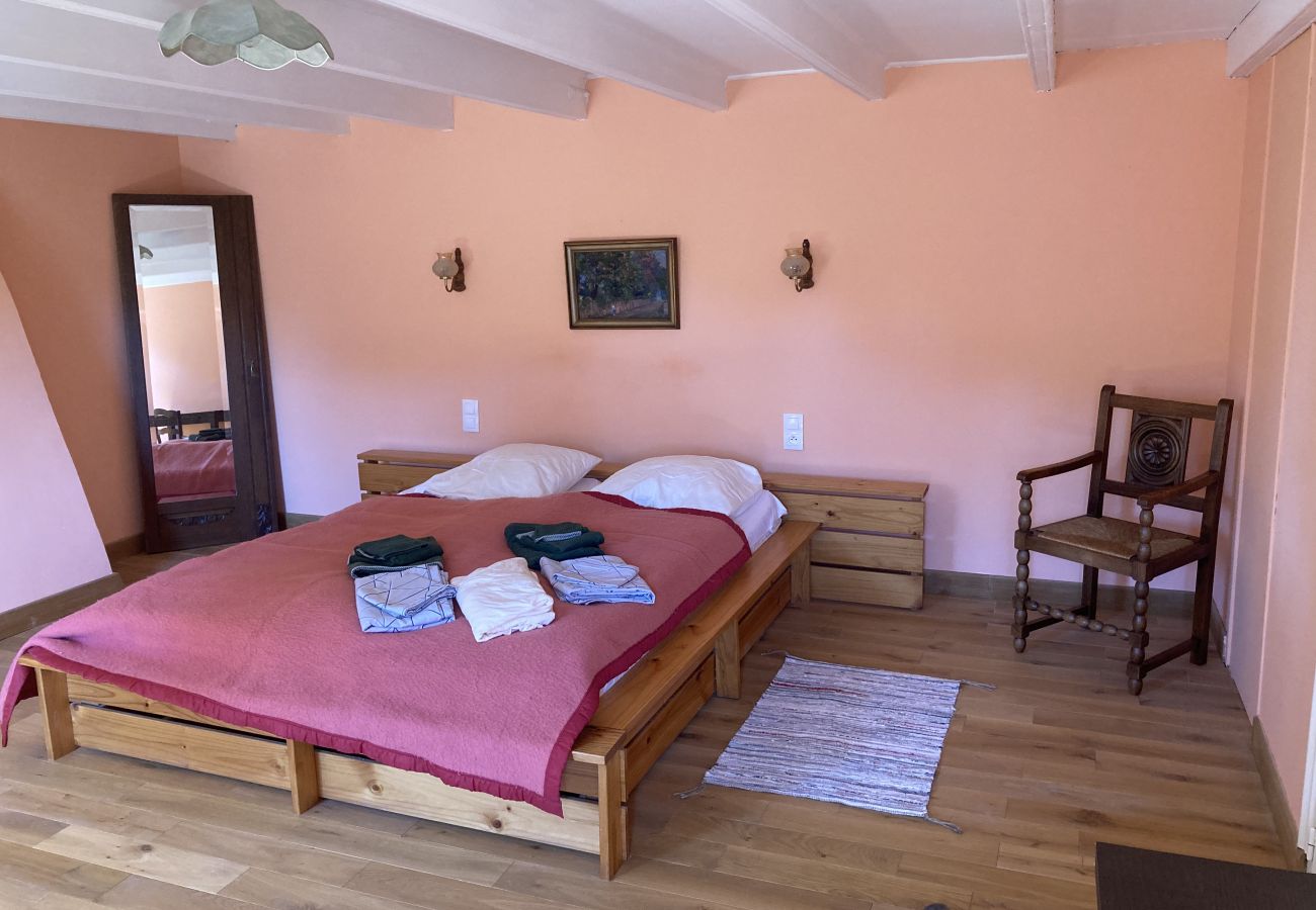 Ferienhaus in Beuzec-Cap-Sizun - 711- Geräumiges bretonisches Bauernhaus, Sauna, großer Garten