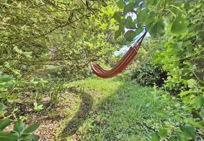 Villa in Primelin - 727- Wunderschöner Meerblick, hoher Komfort, über dem Strand von St Tugen Villa in Primelin - 727- Wunderschöner Meerblick, hoher Komfort, über dem Strand von St Tugen