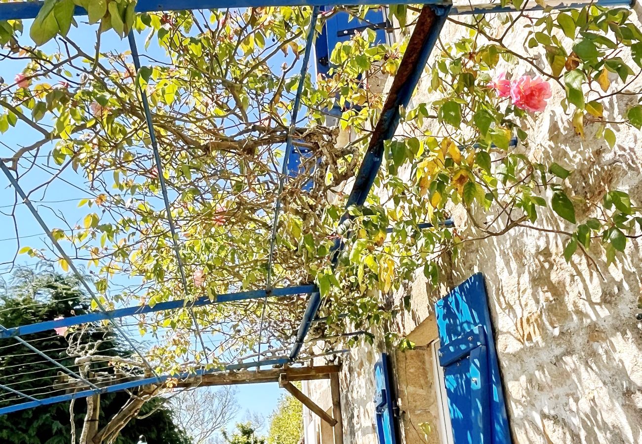 Schattige Terrasse unter einer Laube, Ferienhaus in der Bretagne
