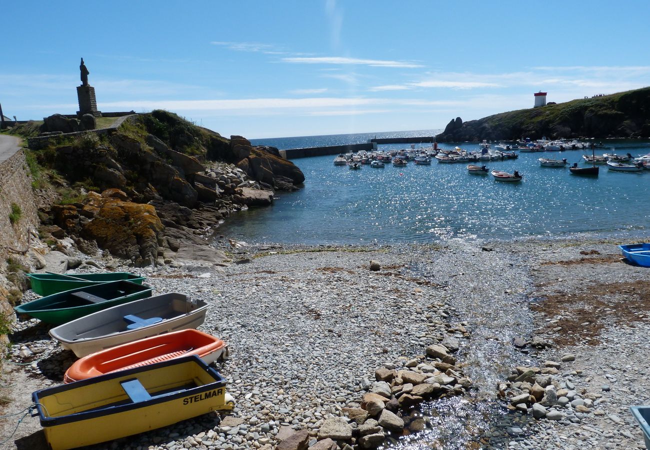 House in Plouhinec - 717-fisherman's house-view of Audierne port-400m from beaches