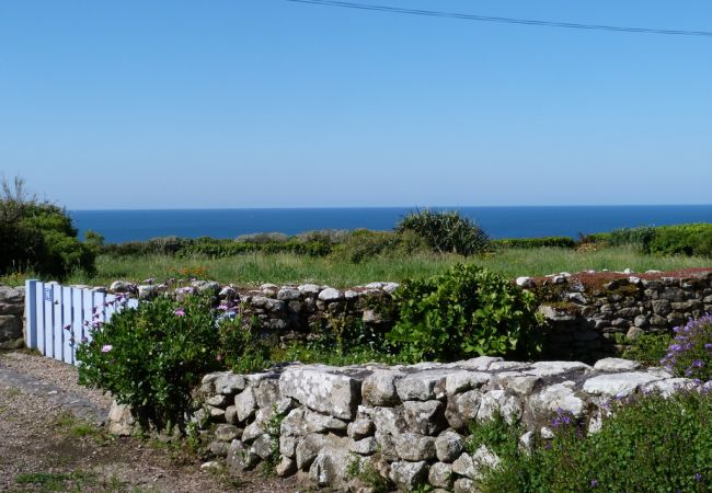 House in Plouhinec - 481-Fisherman's cottage, 180° sea view, near beaches. House in Plouhinec - 481-Fisherman's cottage, 180° sea view, near beaches.