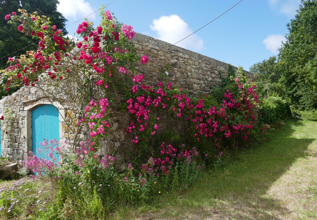 House in Beuzec-Cap-Sizun - 711- Spacious Breton farmhouse, sauna, large garden