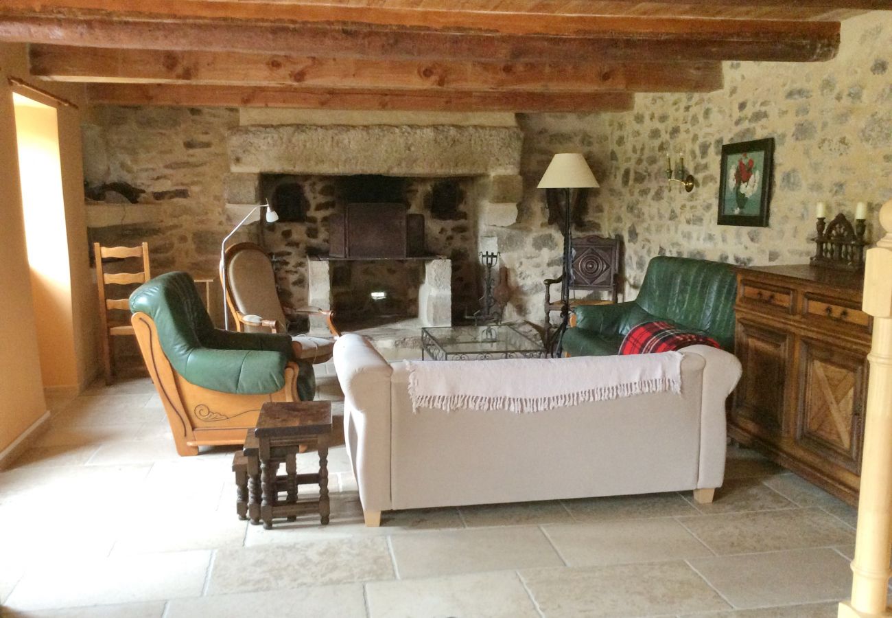 House in Beuzec-Cap-Sizun - 711- Spacious Breton farmhouse, sauna, large garden