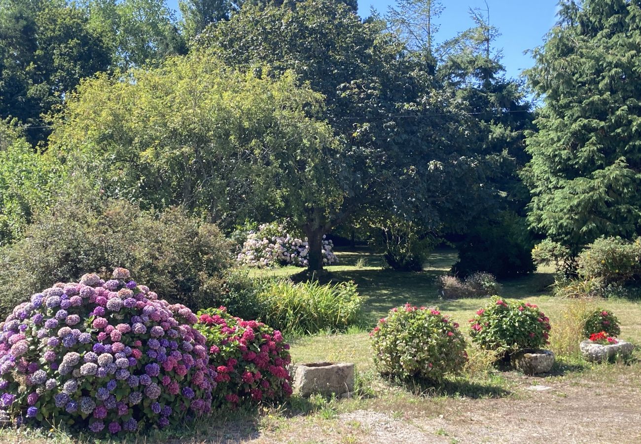 House in Beuzec-Cap-Sizun - 711- Spacious Breton farmhouse, sauna, large garden