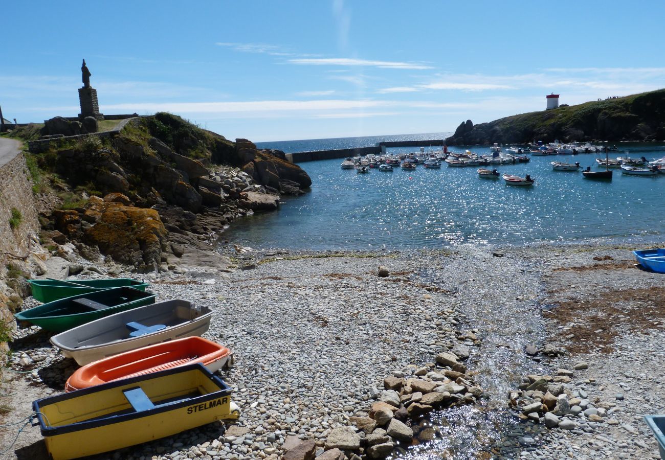 Villa in Plouhinec - 634-Beautiful Breton house-sea view-300m from the beach