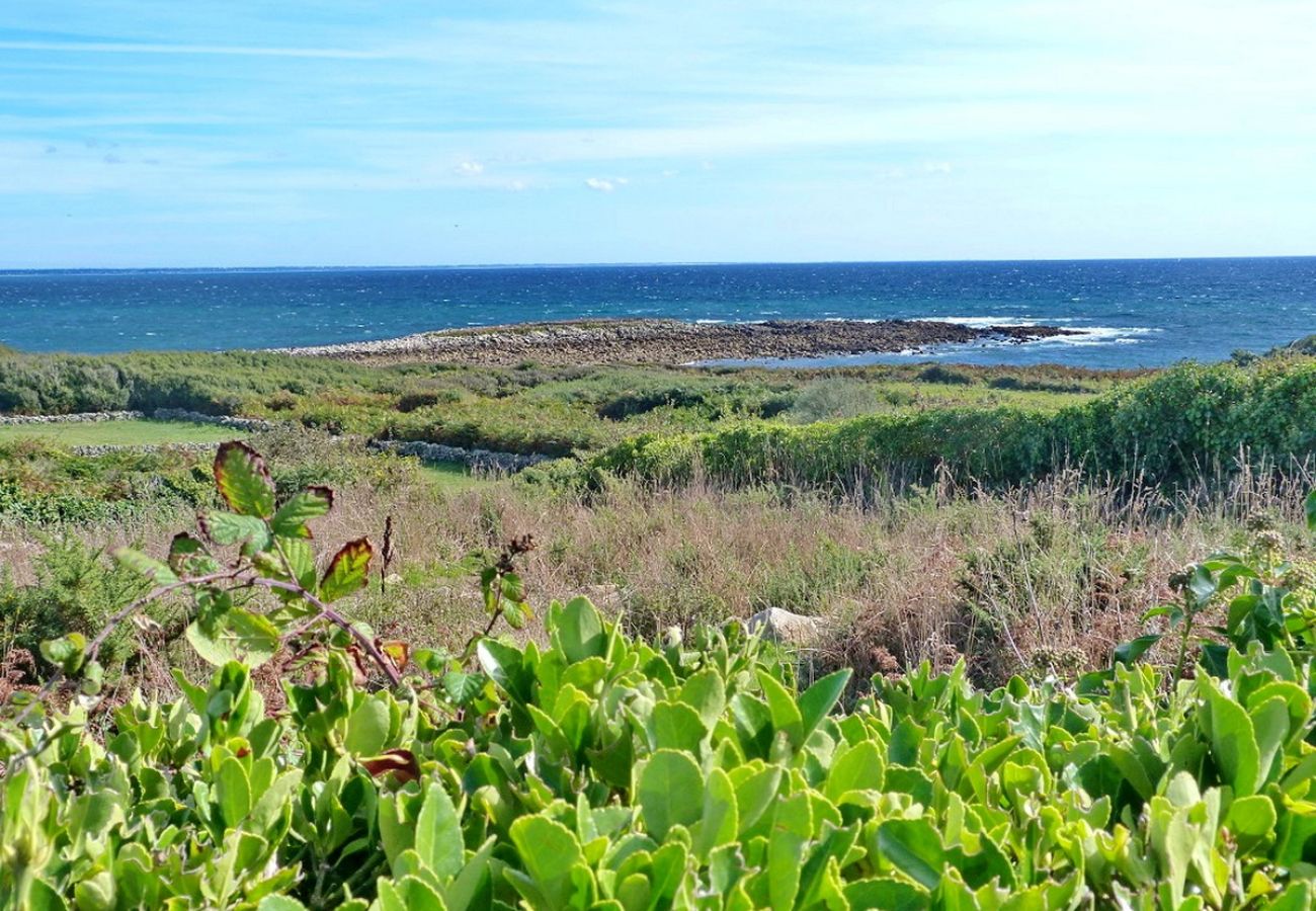 Villa in Esquibien - 473-Villa 100m from the GR34. Superb sea view