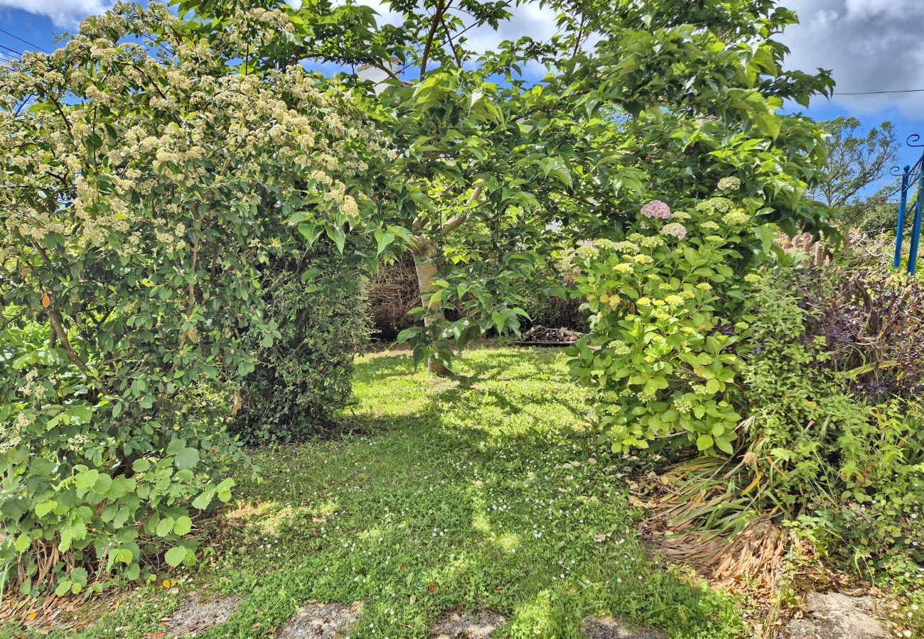 House in Audierne - 733- Breton stone house with enclosed garden, close to beaches and GR34 hiking trail