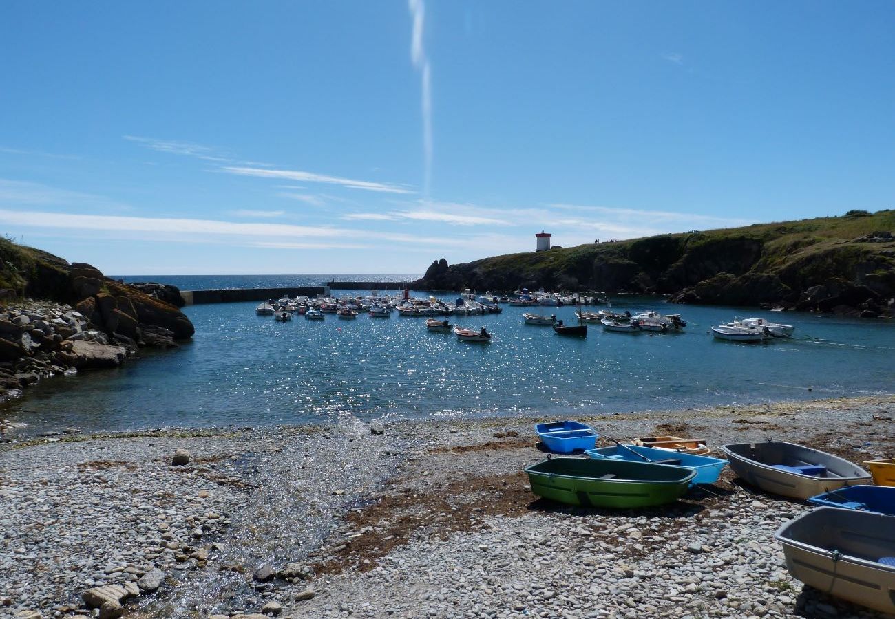 Maison à Plouhinec - 481-Maison du pêcheur, vue mer 180°, Proche plages. 
