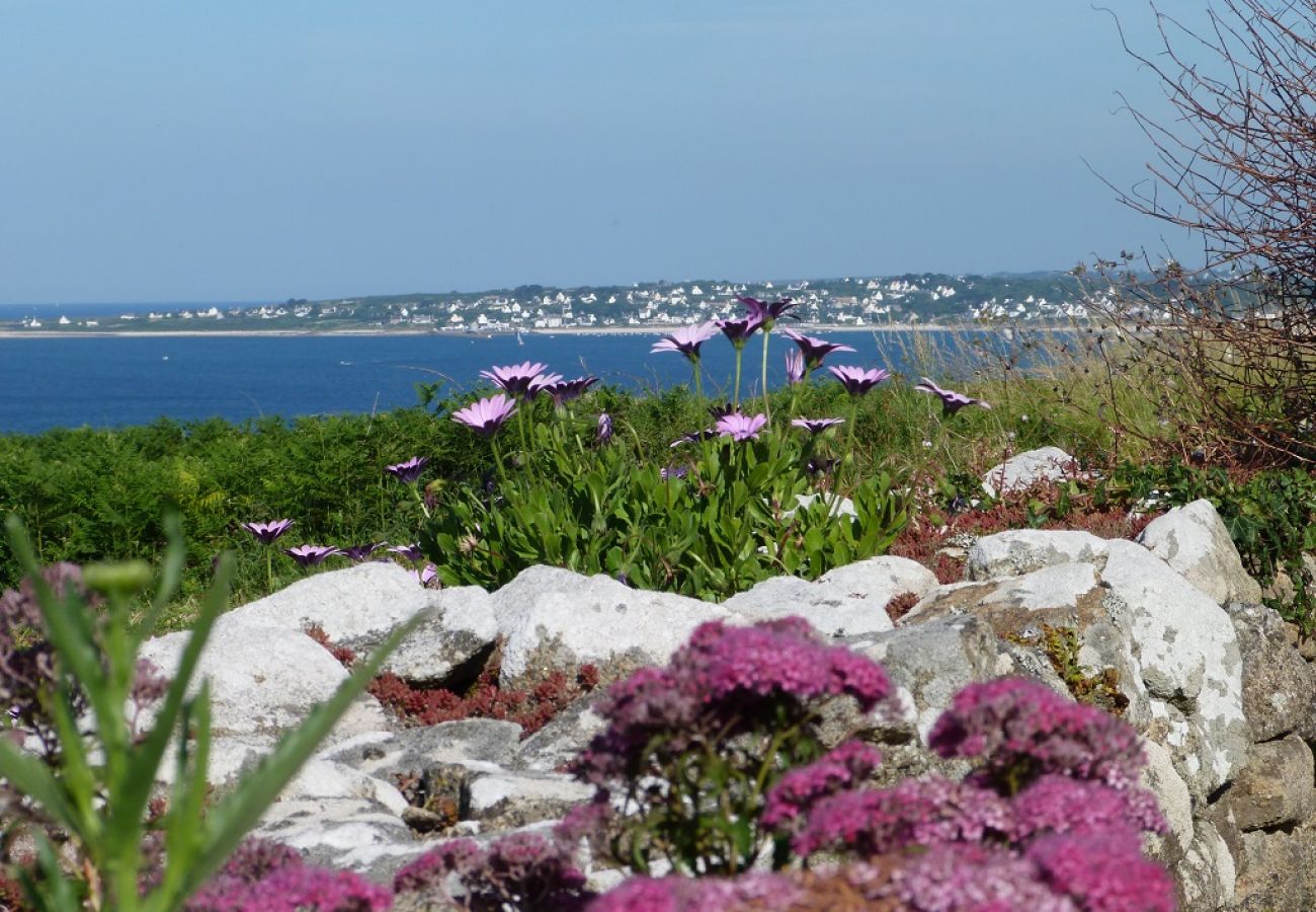 Maison à Plouhinec - 481-Maison du pêcheur, vue mer 180°, Proche plages. 