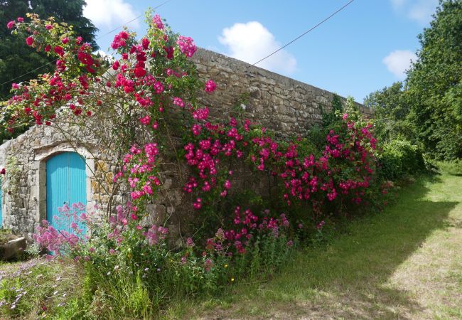 Maison à Beuzec-Cap-Sizun - 711- Spacieuse ferme bretonne, sauna, grand jardin Maison à Beuzec-Cap-Sizun - 711- Spacieuse ferme bretonne, sauna, grand jardin