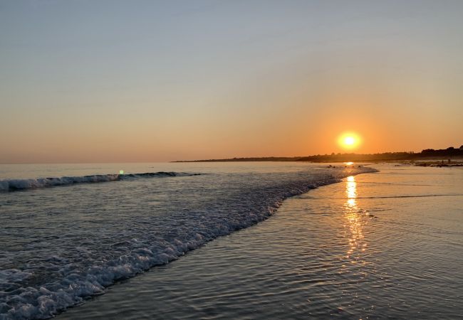 Villa à Plouhinec - 634-Belle maison Bretonne-vue mer- 300m de la plage Villa à Plouhinec - 634-Belle maison Bretonne-vue mer- 300m de la plage
