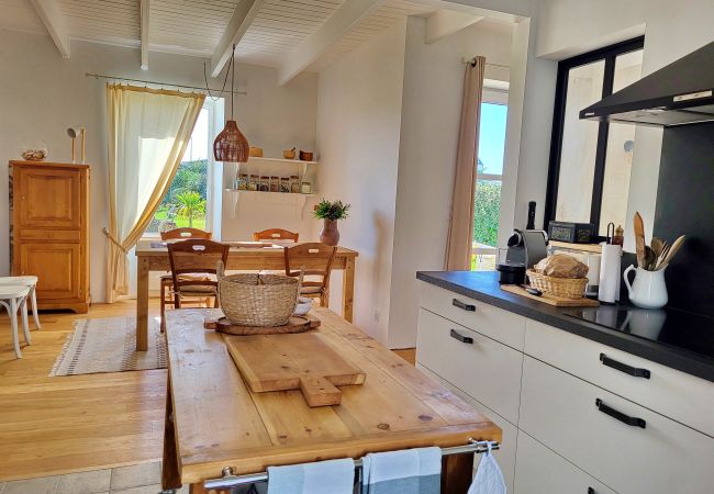 Maison à Plouhinec - 728-Grand confort-Vue mer-Top roof-proche plages Maison à Plouhinec - 728-Grand confort-Vue mer-Top roof-proche plages