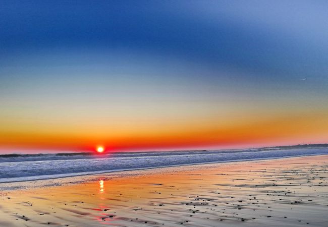 Maison à Plouhinec - 730-Maison de vacances vue mer panoramique à 300m de la plage Maison à Plouhinec - 730-Maison de vacances vue mer panoramique à 300m de la plage